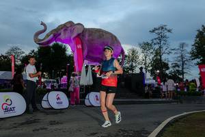 BIB: 
                            <button type="button" onclick="openModal(26529565)" class="btn btn-primary btn-sm float-right btn-popup" data-toggle="modal" data-target=".modal-high-quality">
                        <i class="fas fa-shopping-cart"></i> Add to Cart
                    </button>
                                            <button type="button" onclick="isThisMe(26529565, true)" class="btn btn-success btn-sm float-right btn-popup btn-isme hidden" data-toggle="tooltip" data-placement="bottom" title="นี่คือรูปของคุณใช่ไหม คลิกที่นี่เพื่อเอาเข้าอัลบั้ม">
                        <i class="fas fa-plus"></i> Add to album
                    </button>
                    <button type="button" onclick="isThisMe(26529565, false)" class="btn btn-warning btn-sm float-right btn-popup btn-isnotme hidden">
                        <i class="fas fa-ban"></i> Remove from album
                    </button>